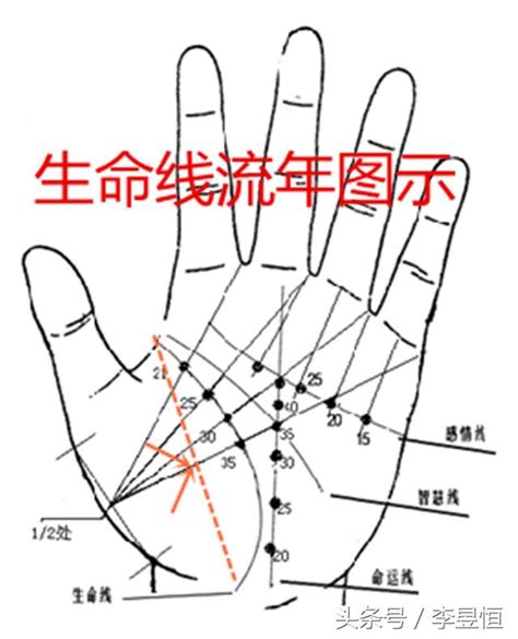 生命線帶眼|手相之生命線最全面的圖解，圖文並茂，簡單易懂，聰明的你一看。